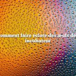 Question : comment faire éclore des œufs de dinde sans incubateur